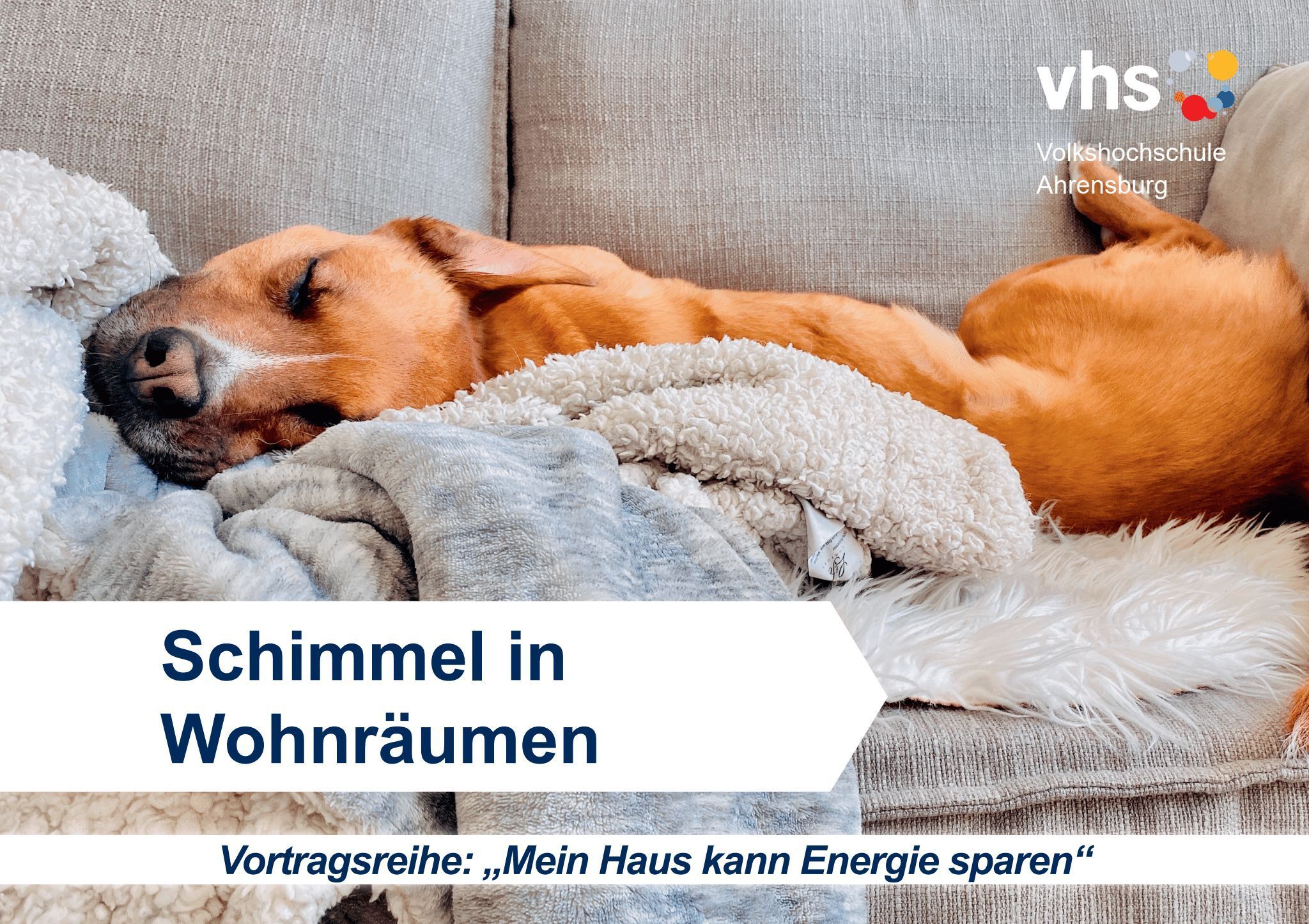 © vhs Ahrensburg © vhs Ahrensburg