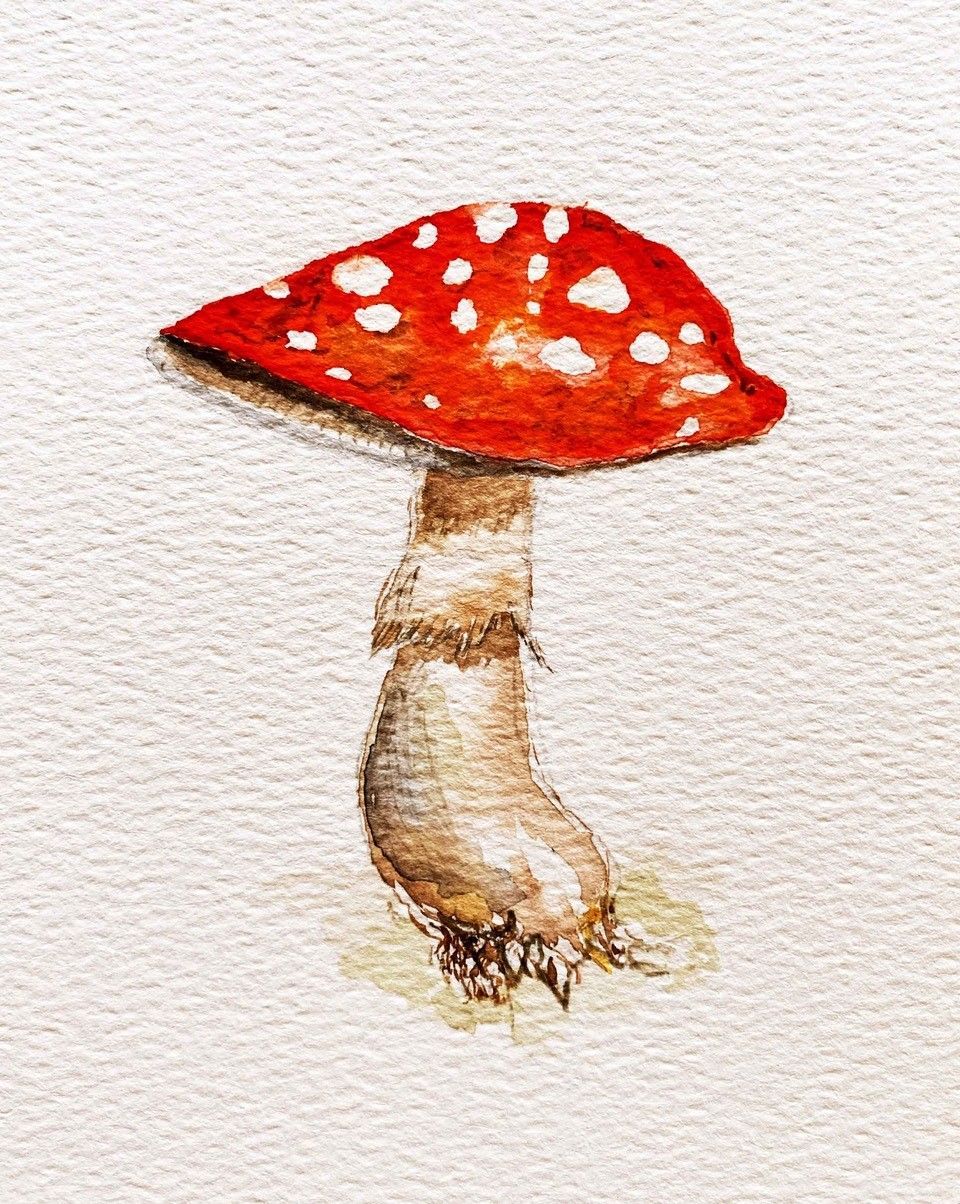 © Sandra Maas © Sandra Maas
