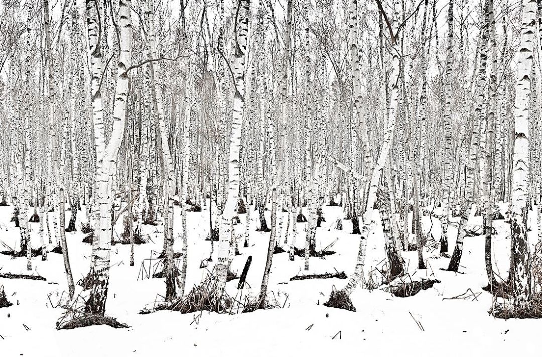 © Jürgen Herschelmann © Jürgen Herschelmann