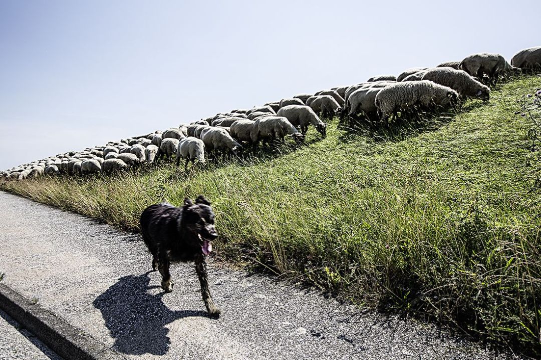 © Jürgen Herschelmann © Jürgen Herschelmann