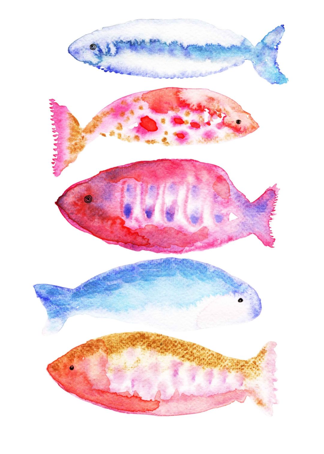 Motiv: Fische bunt