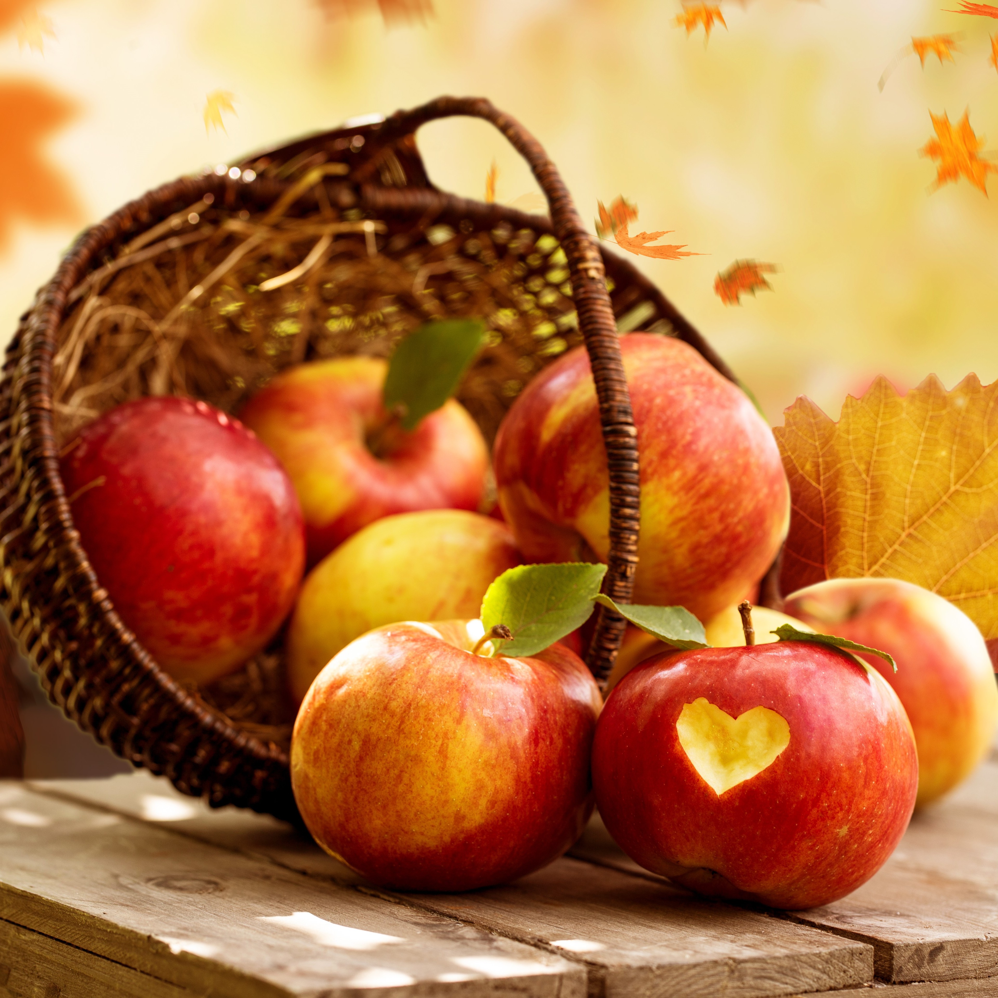 Öffnet die Seite 'Highlightkurse'