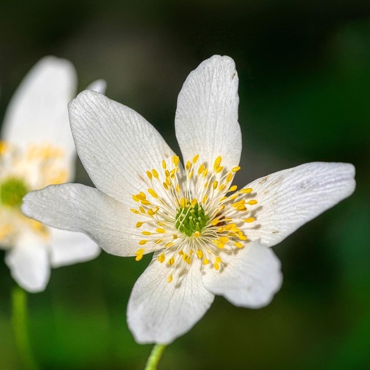 Öffnet die Seite 'Freie Platzwahl'